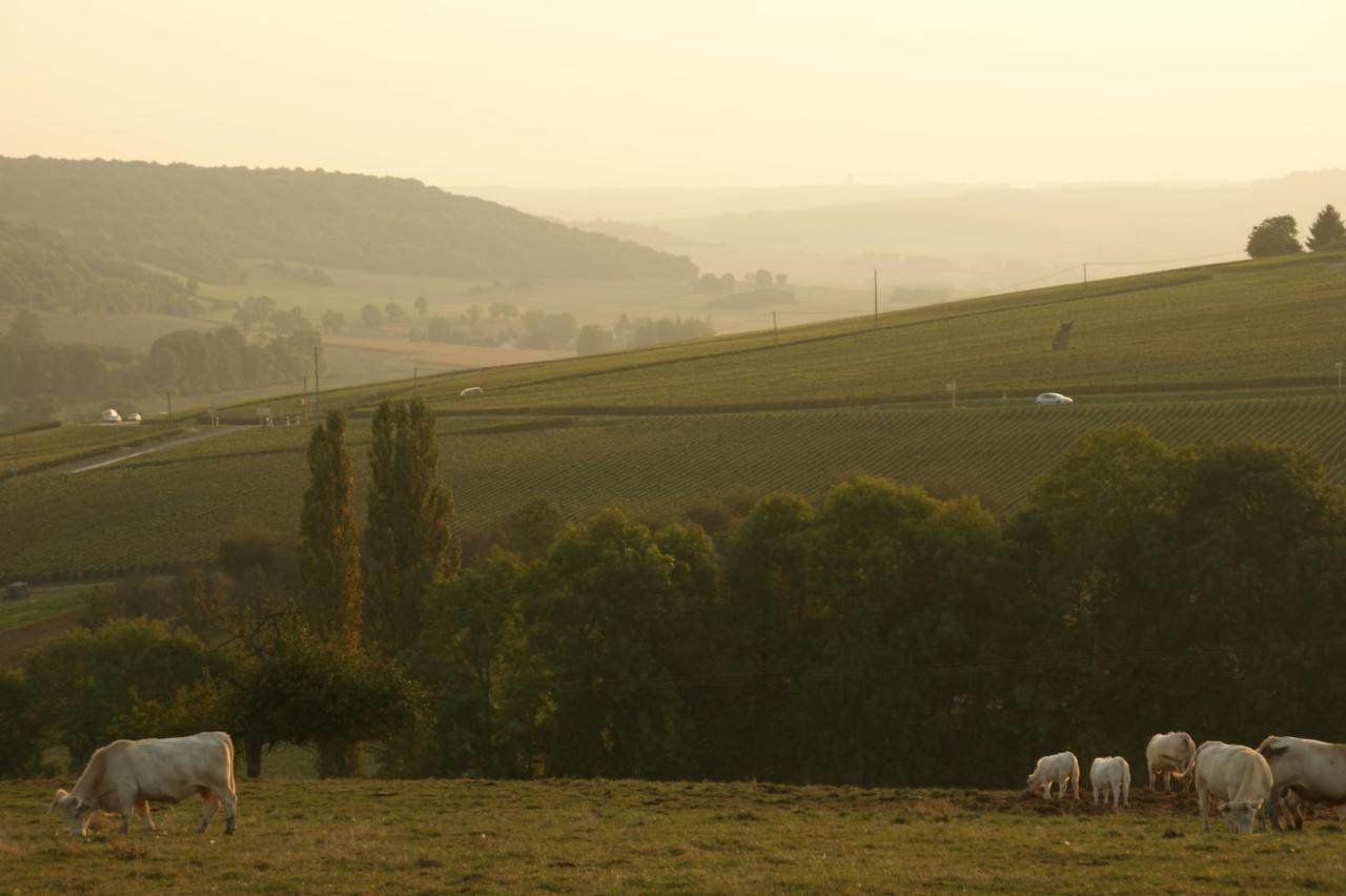 D'hotes&champagne Douard 3* La Chapelle-Monthodon